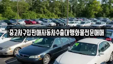 강원특별자치도 동해시 지가동 중고차매매,단기렌트카,중고차매입,장기렌트카,중고차,렌트카