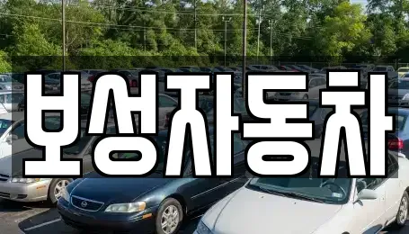강원특별자치도 원주시 흥업면 중고차 전문 보성자동차