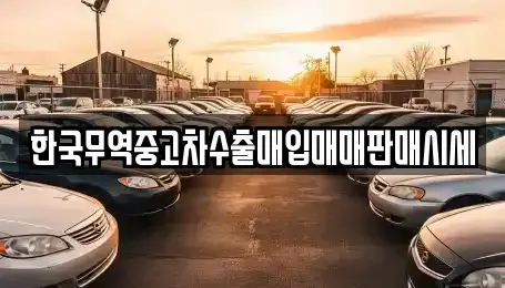 강원특별자치도 홍천군 영귀미면 중고차매입 전문 한국무역중고차수출매입매매판매시세