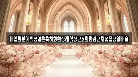 개업화분예식장결혼축하화환장례식장근조화환란근처꽃집당일배송