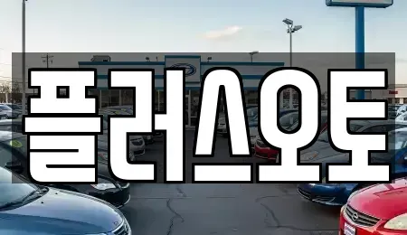 경기 구리시 교문동 중고차 전문 플러스오토