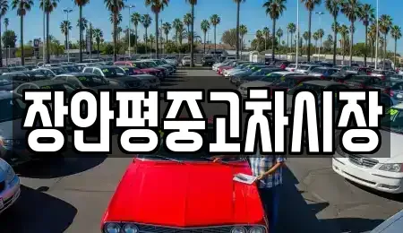 경기 구리시 사노동 중고차 전문 장안평중고차시장