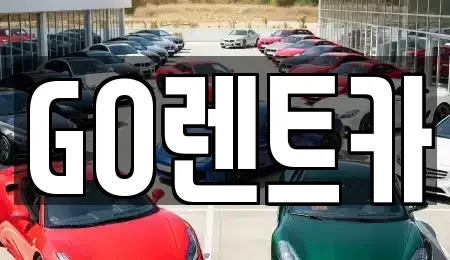 경기 수원시 영통구 원천동 렌트카 전문 GO렌트카