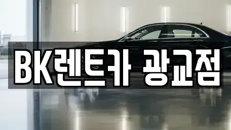 경기 수원시 영통구 원천동 장기렌트카 전문 BK렌트카 광교점