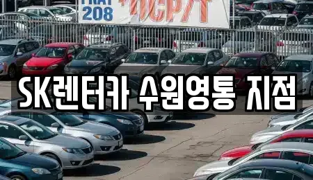 경기 수원시 영통구 원천동 장기렌트카 전문 SK렌터카 수원영통 지점