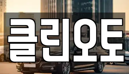 경기 수원시 영통구 원천동 중고차 전문 클린오토