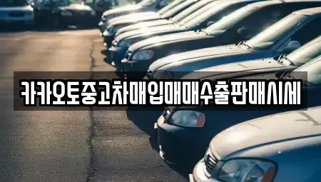 경기 수원시 영통구 원천동 중고차매입 전문 카카오토중고차매입매매수출판매시세