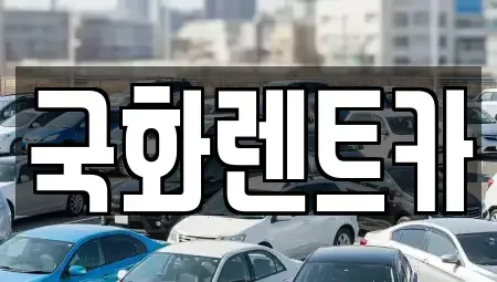경기 양주시 은현면 렌트카 전문 국화렌트카