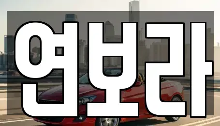 경기 양주시 은현면 렌트카 전문 연보라
