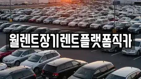 경기 양주시 은현면 장기렌트카 전문 월렌트장기렌트플랫폼직카