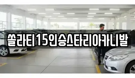 경기 양평군 강상면 렌트카 전문 쏠라티15인승스타리아카니발