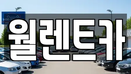 경기 양평군 강상면 렌트카 전문 월렌트카