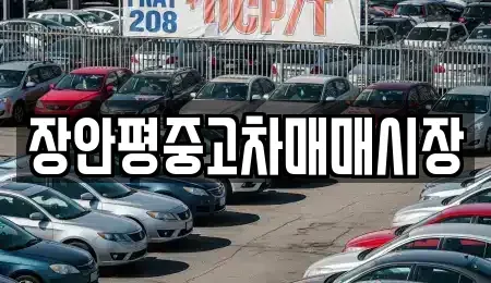 경기 양평군 강상면 중고차매매 전문 장안평중고차매매시장
