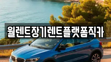 경기 용인시 처인구 삼가동 장기렌트카 전문 월렌트장기렌트플랫폼직카