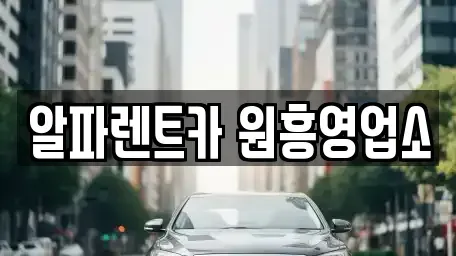 경기도 고양시 덕양구 삼송동 렌트카 전문 알파렌트카 원흥영업소