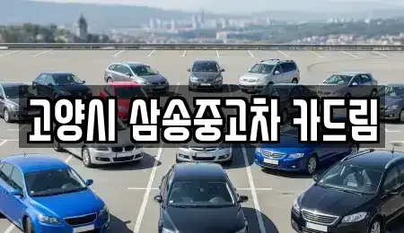 경기도 고양시 덕양구 삼송동 중고차매매,단기렌트카,중고차매입,장기렌트카,중고차,렌트카