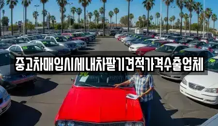 경기도 고양시 덕양구 삼송동 중고차매매 전문 중고차매입시세내차팔기견적가격수출업체