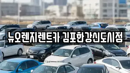 경기도 김포시 양촌읍 렌트카 전문 뉴오렌지렌트카 김포한강신도시점