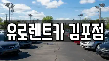 경기도 김포시 양촌읍 렌트카 전문 유로렌트카 김포점