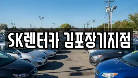 경기도 김포시 양촌읍 장기렌트카 전문 SK렌터카 김포장기지점