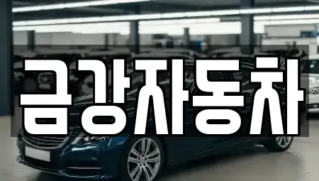 경기도 김포시 양촌읍 중고차매매 전문 금강자동차