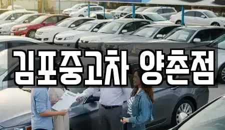 경기도 김포시 양촌읍 중고차매매,단기렌트카,중고차매입,장기렌트카,중고차,렌트카