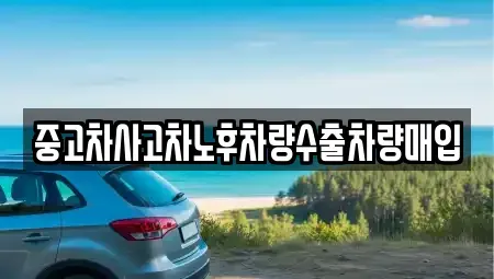 경기도 김포시 양촌읍 중고차매매 전문 중고차사고차노후차량수출차량매입
