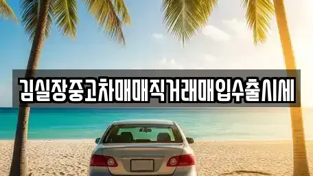 경기도 김포시 양촌읍 중고차매입 전문 김실장중고차매매직거래매입수출시세