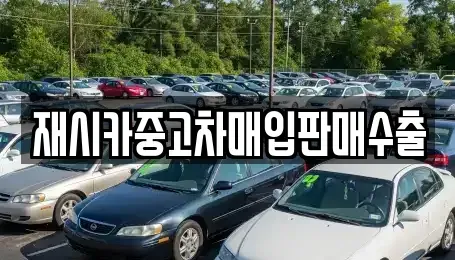 경기도 김포시 양촌읍 중고차매입 전문 재시카중고차매입판매수출