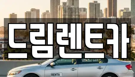 경기도 수원시 장안구 정자동 렌트카 전문 드림렌트카
