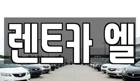 경기도 수원시 장안구 정자동 렌트카 전문 렌트카 엘