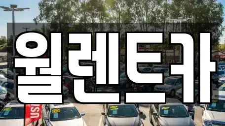 경기도 수원시 장안구 정자동 렌트카 전문 월렌트카