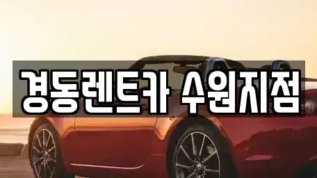 경기도 수원시 장안구 정자동 장기렌트카 전문 경동렌트카 수원지점