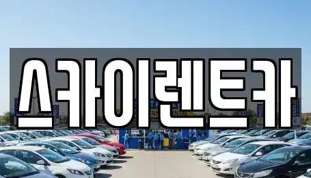 경기도 수원시 장안구 정자동 장기렌트카 전문 스카이렌트카