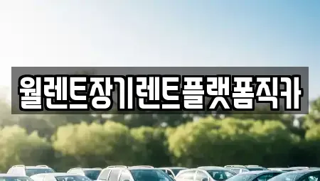 경기도 수원시 장안구 정자동 장기렌트카,중고차,렌트카,단기렌트카,중고차매입,중고차매매