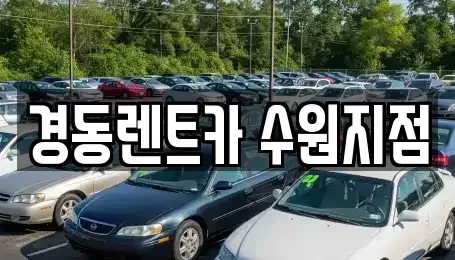 경기도 수원시 장안구 파장동 단기렌트카 전문 경동렌트카 수원지점