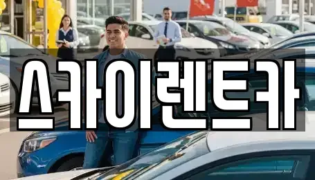 경기도 수원시 장안구 파장동 장기렌트카 전문 스카이렌트카
