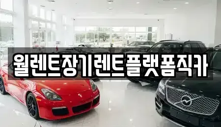 경기도 수원시 장안구 파장동 장기렌트카 전문 월렌트장기렌트플랫폼직카
