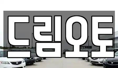 경기도 수원시 장안구 파장동 중고차매매,단기렌트카,중고차매입,장기렌트카,중고차,렌트카