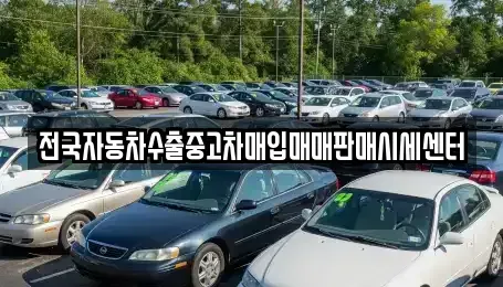 경기도 수원시 장안구 파장동 중고차매매 전문 전국자동차수출중고차매입매매판매시세센터