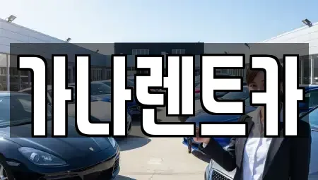 경기도 안성시 도기동 렌트카 전문 가나렌트카