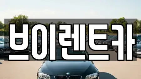 경기도 안성시 도기동 렌트카 전문 브이렌트카