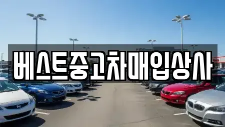 경기도 안성시 도기동 중고차 전문 베스트중고차매입상사