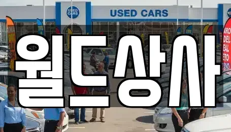 경기도 안성시 도기동 중고차 전문 월드상사