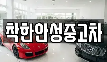 경기도 안성시 도기동 중고차매매 전문 착한안성중고차