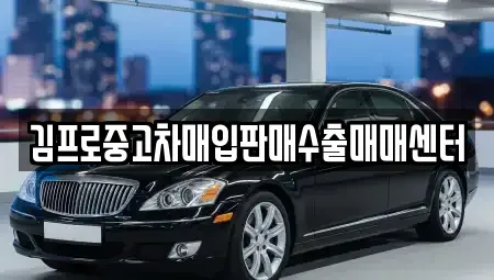 경기도 안성시 도기동 중고차매입 전문 김프로중고차매입판매수출매매센터