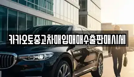 경기도 안성시 도기동 중고차매입 전문 카카오토중고차매입매매수출판매시세