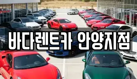 경기도 안양시 동안구 관양동 장기렌트카 전문 바다렌트카 안양지점