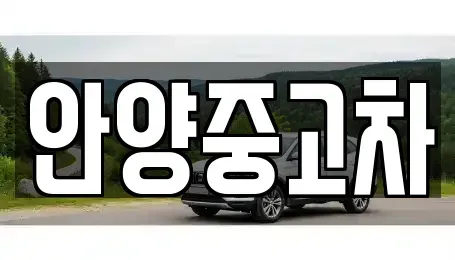 경기도 안양시 동안구 관양동 중고차 전문 안양중고차