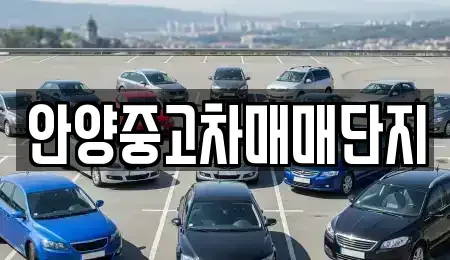 경기도 안양시 동안구 관양동 중고차 전문 안양중고차매매단지